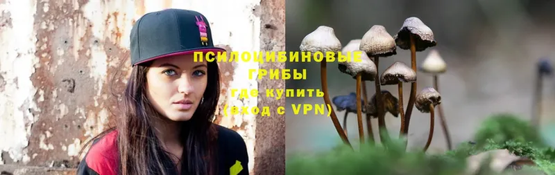 купить  сайты  Шагонар  гидра ТОР  Псилоцибиновые грибы Psilocybe 